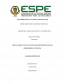 EL BREXIT UK Y SUS EFECTOS GEOPOLÍTICOS PARA EL HEMISFERIO OCCIDENTAL