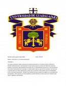 Seminario 1 descentralizacion actividad 1