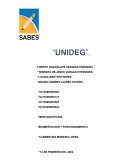 Segmentacion y posicionamiento