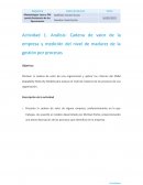 Análisis: Cadena de valor de la empresa y medición del nivel de madurez de la gestión por procesos