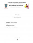 Quimica orgánica. ÁCIDOS CARBOXÍLICOS
