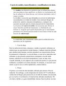 Cuarto de moldes, inmovilizadores y modificadores de dosis