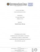 CALCULO VECTORIAL EVALUACIÓN PRACTICA