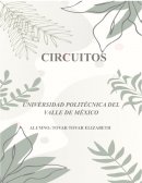 CIRCUITOS