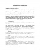 Análisis de la situación de las ópticas