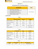 PRÁCTICA N° 3 RECONOCIMIENTO DE LAS FUNCIONES QUÍMICAS I