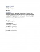 Análisis de Obra, Columna Egipcia