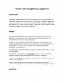 Informe de alimentos transgénicos y plaguicidas