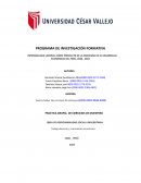 INFORMALIDAD LABORAL,COMO PRODUCTO DE LA PANDEMIA EN EL DESARROLLO ECONÓMICO DEL PERÚ, 2020 - 2022