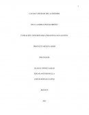 Causas y riesgos del alzheimer