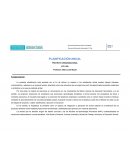 PLANIFICACIÓN ANUAL PROYECTO ORGANIZACIONAL 6TO