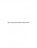 Bolivia: El proceso de Democratización a través de su historia