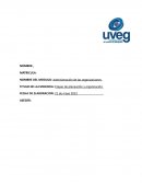 Etapas de planeacion y organizacion