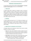 Emprenedoria - Proposta metodologica