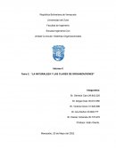 La naturaleza y las clases de organizaciones