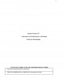 ENSAYO DE VERIFICACIÓN DE TERMÓMETROS DE VIDRIO