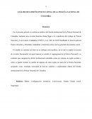 ANÁLISIS DEL DISEÑO INSTITUCIONAL DE LA POLICÍA NACIONAL DE COLOMBIA