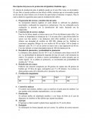 Descripción del proceso de producción del gladiolo