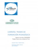 PEDAGOGIA TRABAJO FINAL UCES