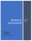 Ficha Electrónica Rayen