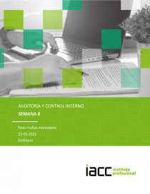 Implementación de sistemas de control interno. Página 1