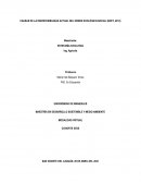 CAUSAS DE LA INSOSTENIBILIDAD ACTUAL DEL ORDEN ECOLÓGICO-SOCIAL (BOFF, 2012)