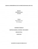 CAUSAS DE LA INSOSTENIBILIDAD ACTUAL DEL ORDEN ECOLÓGICO-SOCIAL (BOFF, 2012)