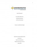 Ensayo de presupuesto de ventas