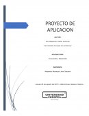 PROYECTO DE APLICACION