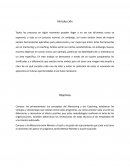 ELABORACIÓN DE UN PARALELISMO COACHING Y MENTORING