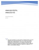 ANALISIS PESTEL ANALISIS FCE