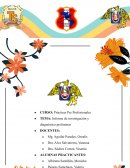 INFORME DE INVESTIGACIÓN Y DIAGNÓSTICO PRELIMINAR