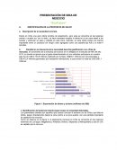 IDEA NEGOCIO "ECO FUTURO"