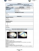 MICROSCOPIA Y OBSERVACION DE MUESTRAS BIOLOGICAS