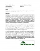 Analizar una empresa chilena la cual haya aplicado alguna de las distintas estrategias de desarrollo vistas en clase