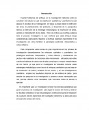 Ensayo sobre los pradigma de la investigacion