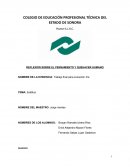 INTERPRETACIÓN DE LA FILOSOFÍA CONTEMPORÁNEA