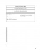 INTRODUCCION A LA INGENIERIA INDUSTRIAL