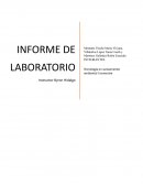 INFORME DE LABORATORIO FISICA MECÁNICA