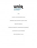 CASO PRÁCTICO: EL LEAD VENDEDOR
