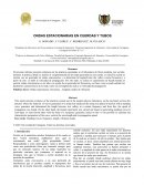 INFORME DE ONDAS ESTACIONARIAS EN CUERDAS Y TUBOS