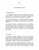 Nombre. Consideraciones generales