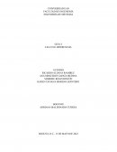 Cálculo diferencial ejercicio D - Guía 2