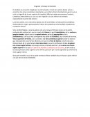 Irrigacion y drenaje del cerebelo