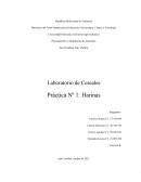 Laboratorio de Cereales Práctica Nº 1: Harinas