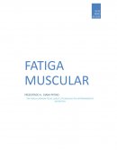 Fatiga