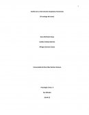 Análisis de la intervención terapéutica Humanista