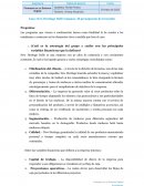 Caso: New Heritage Doll Company. El presupuesto de inversión