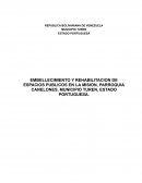 EMBELLECIMIENTO Y REHABILITACION DE ESPACIOS PUBLICOS EN LA MISION, PARROQUIA CANELONES, MUNICIPIO TUREN, ESTADO PORTUGUESA