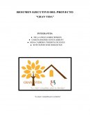 RESUMEN EJECUTIVO DEL PROYECTO “GRAN VIDA”
